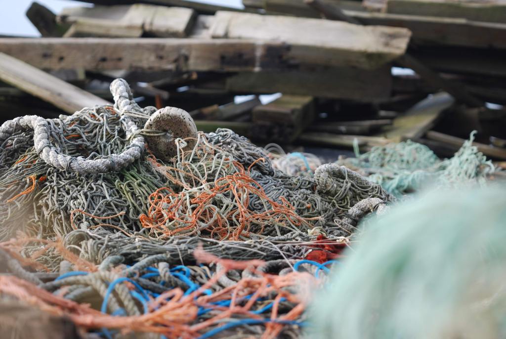 Brexit is a golden opportunity for British&nbsp;fishing