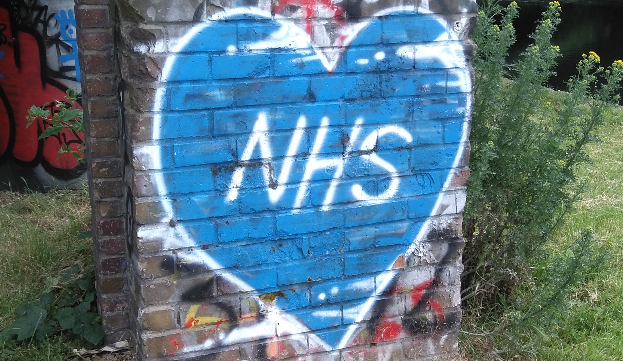 The Impact of Brexit on the NHS: Cure or Disease?