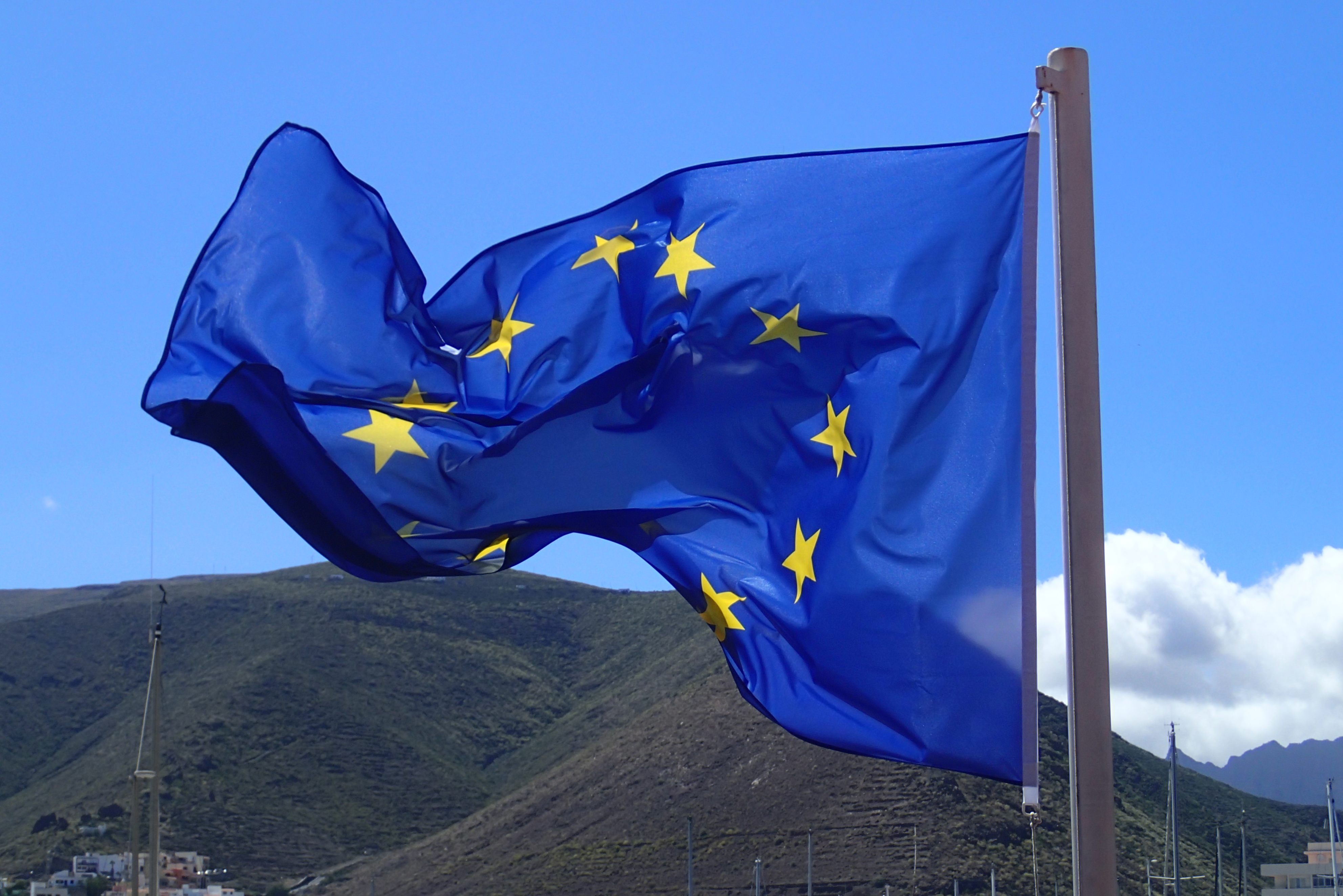 The Great European Disaster Movie: how a nightmarish vision led to a campaign of European awakening