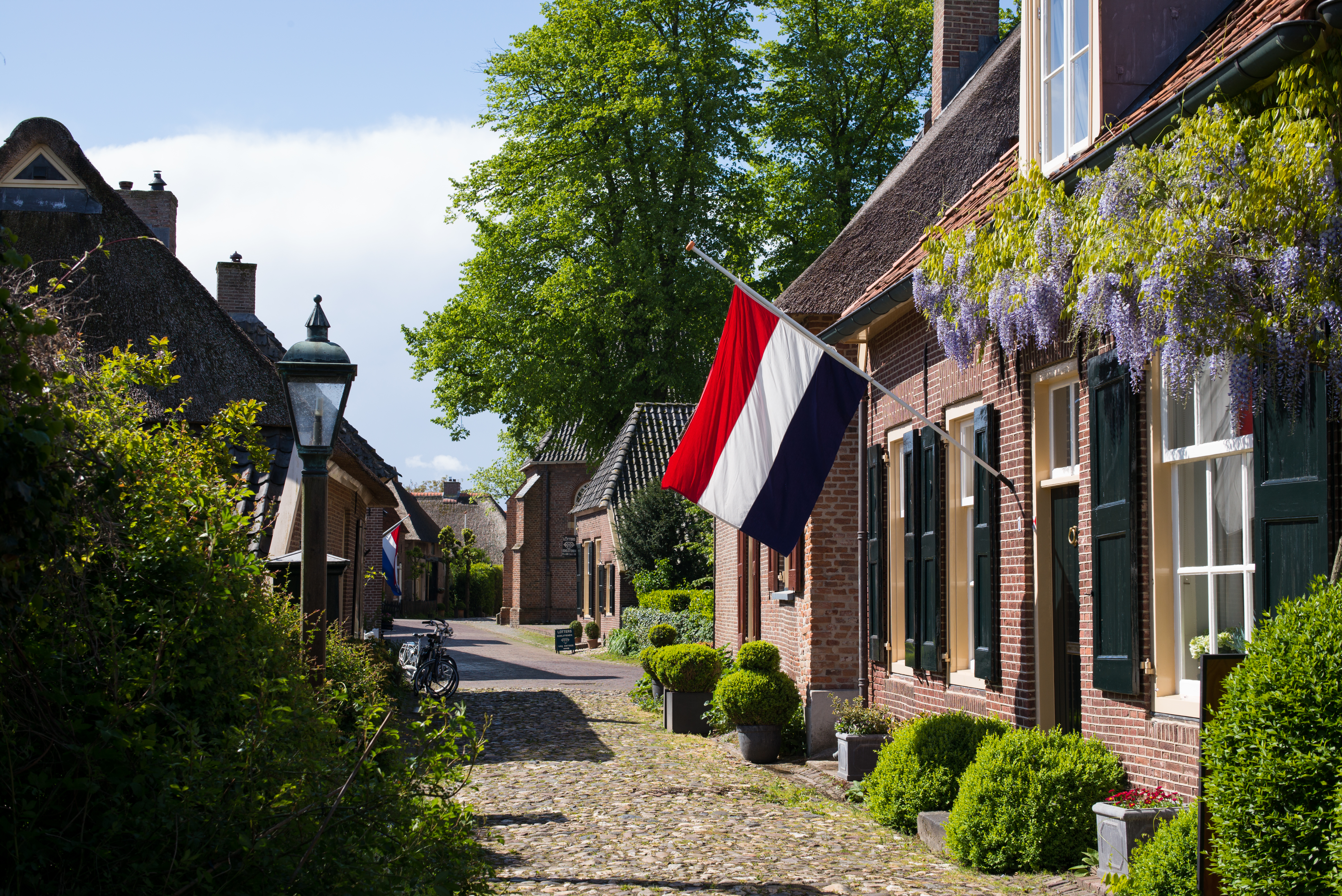 From Cautious Member to Bold Leader? The Netherlands in the EU after Brexit