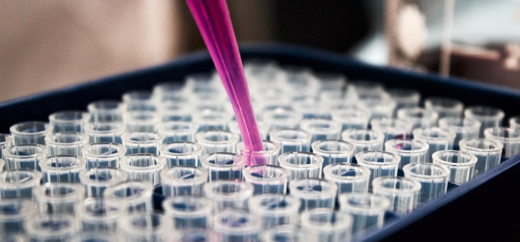 UK science minds harden on Horizon Europe price&nbsp;tag