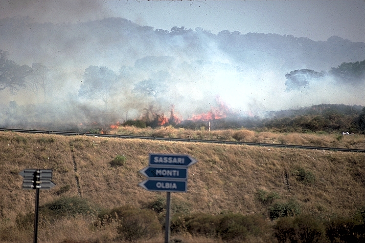 Blowing Hot and Cold: Natural Hazard Response in Europe