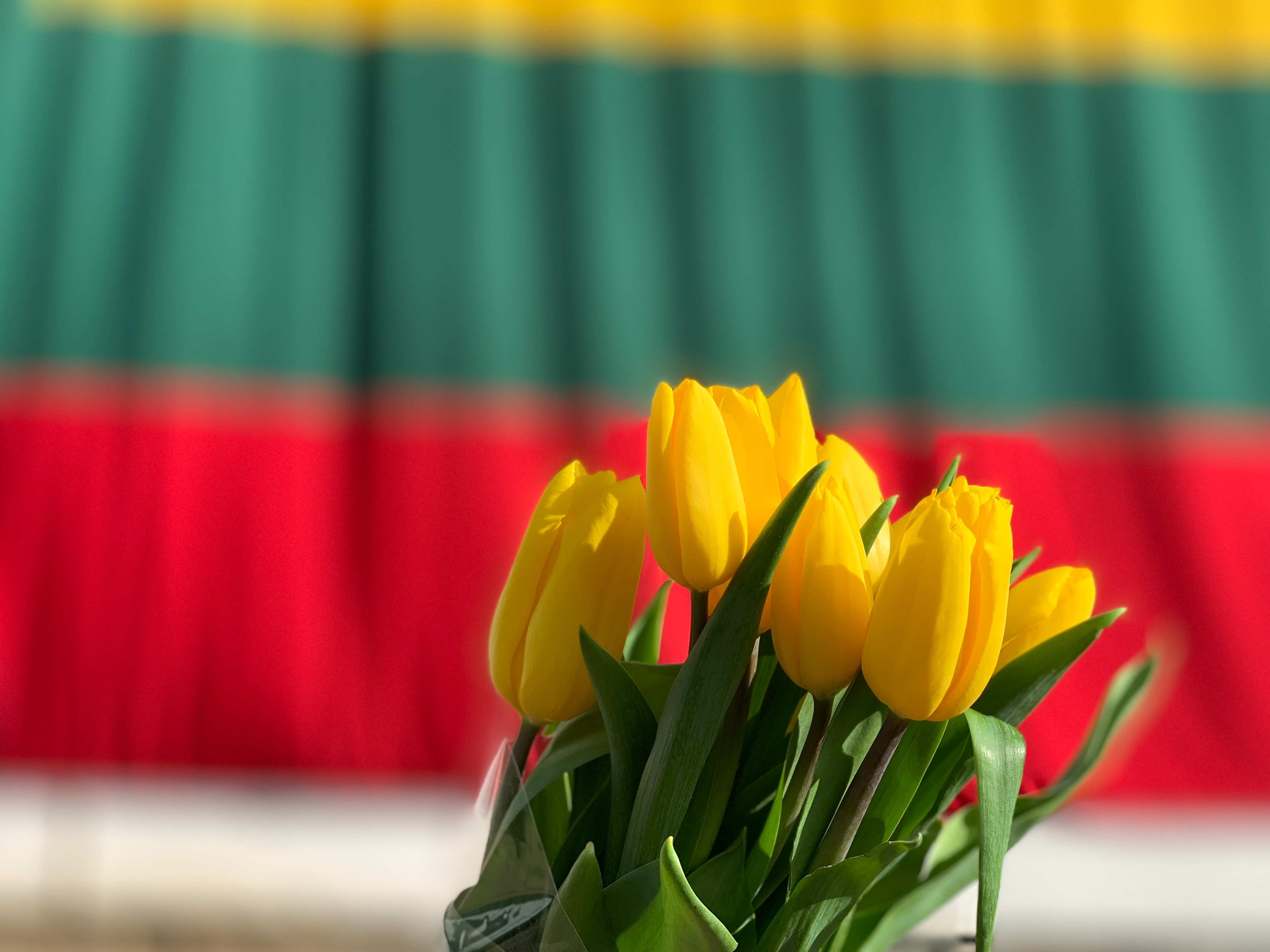 It’s always the quiet ones: Euroscepticism in Lithuania