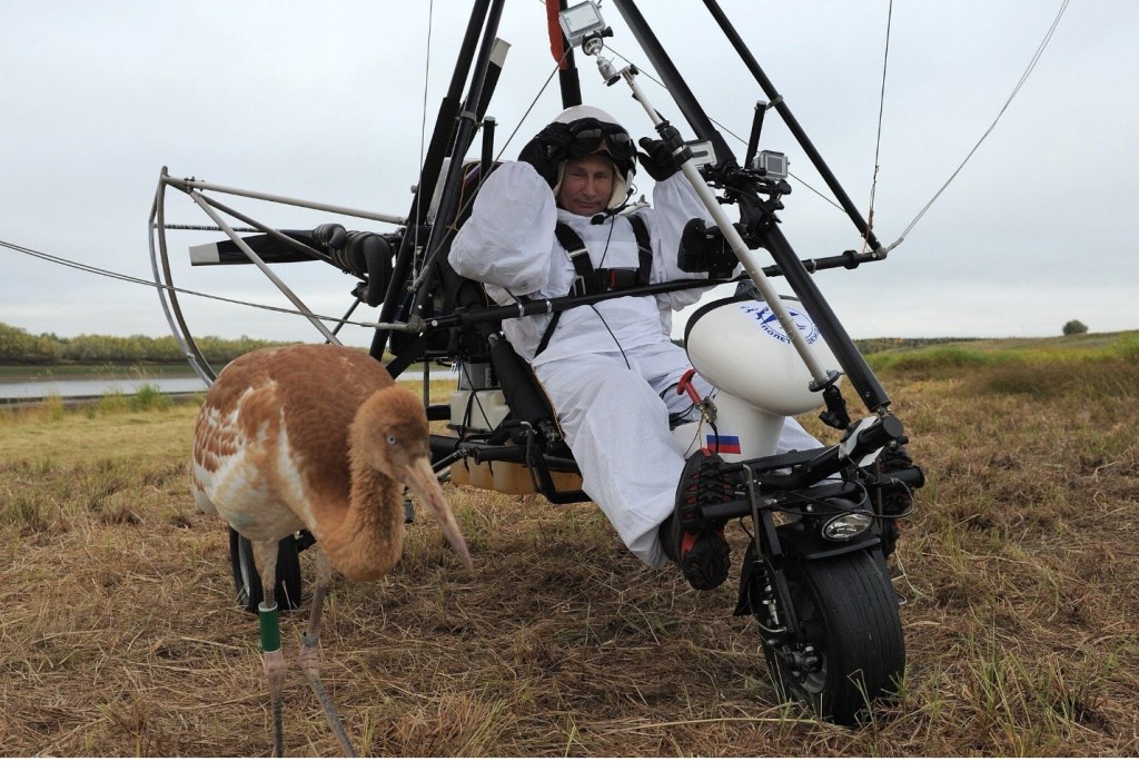 The Tricksterization of&nbsp;Power